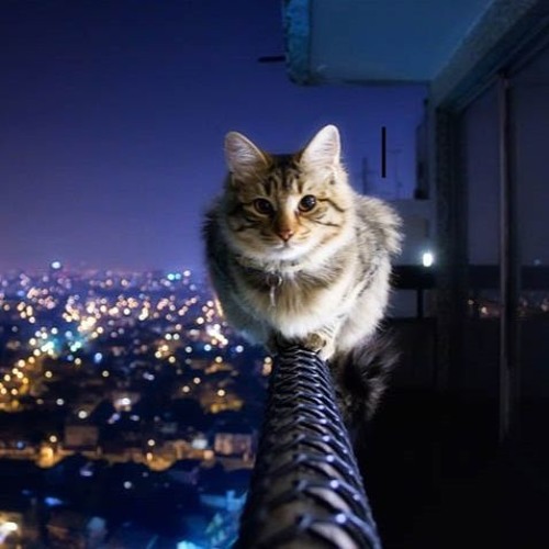 Sure As Can Be (feat. cFed)