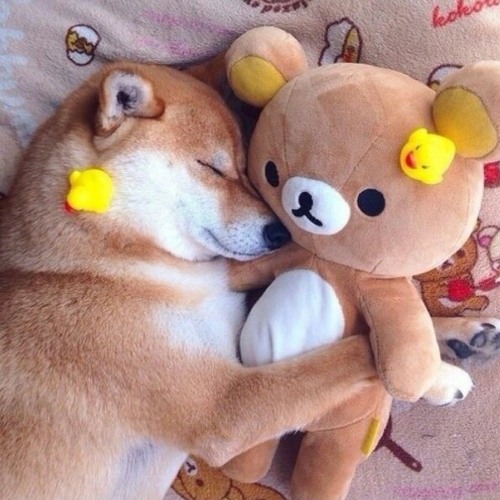 when everyone is turning up on new years eve but ur caught in ur feels