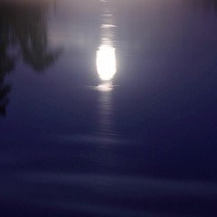 JULIE SKYES Night sky