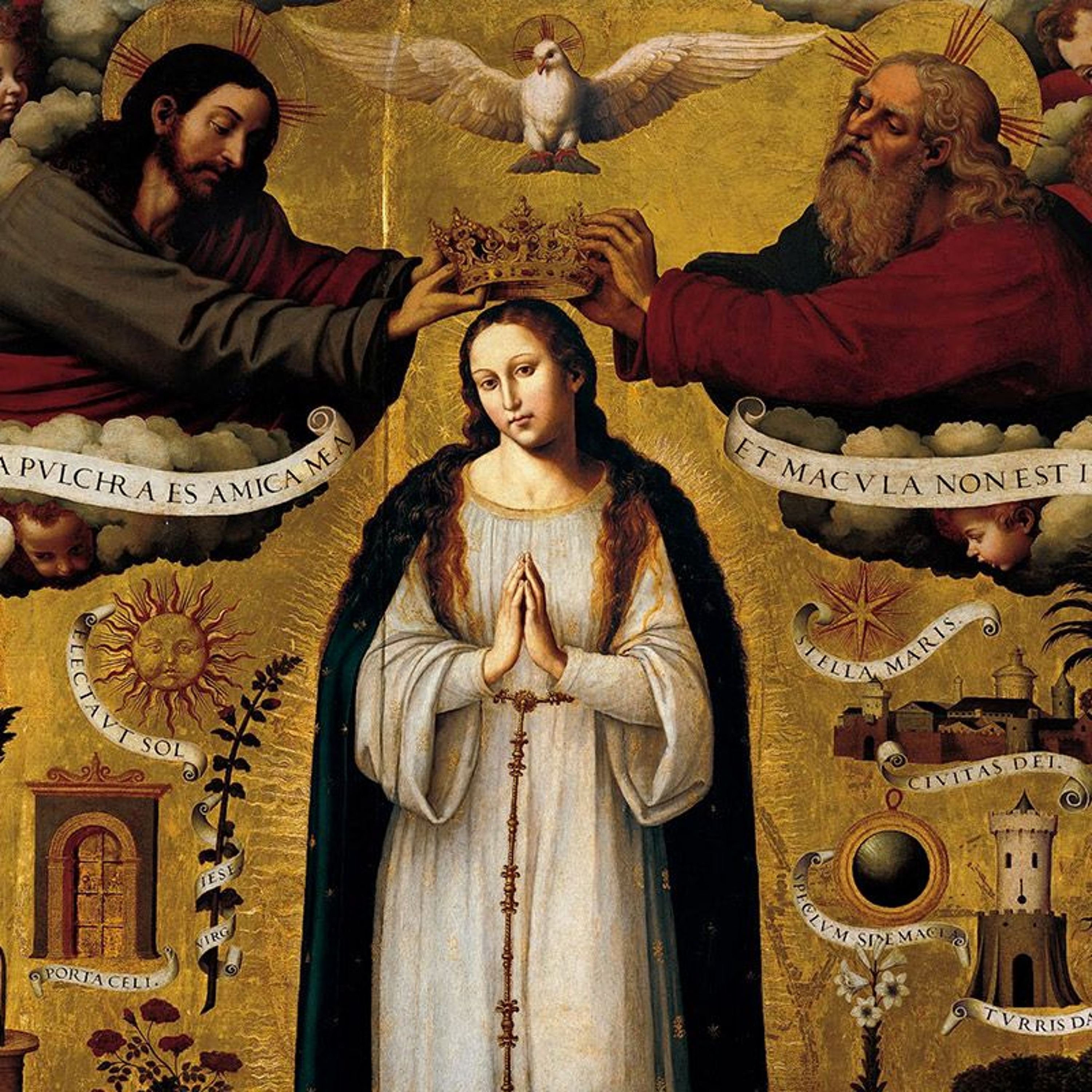 Homilia Diária.106: Solenidade de Santa Maria, Mãe de Deus episode artwork