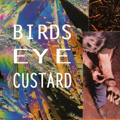 Bird's Eye Custard