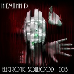 Niemann D. - Electronic Soulfood (003)