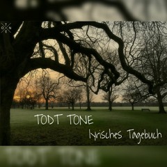 TODT TONE - lyrisches Tagebuch (PODCAST MIX #2)