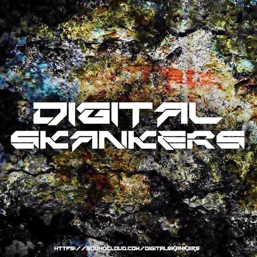 Digital Skankers - Super Stepper 3000 (Loba Remix)