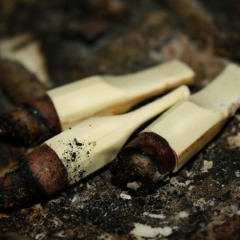 Black & Mild Interlude