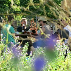 Llueven Gacelas / braile ballet