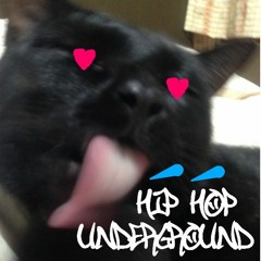 Hip Hop/Underground