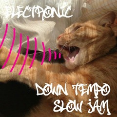 Electro/Down Tempo, Slow Jam