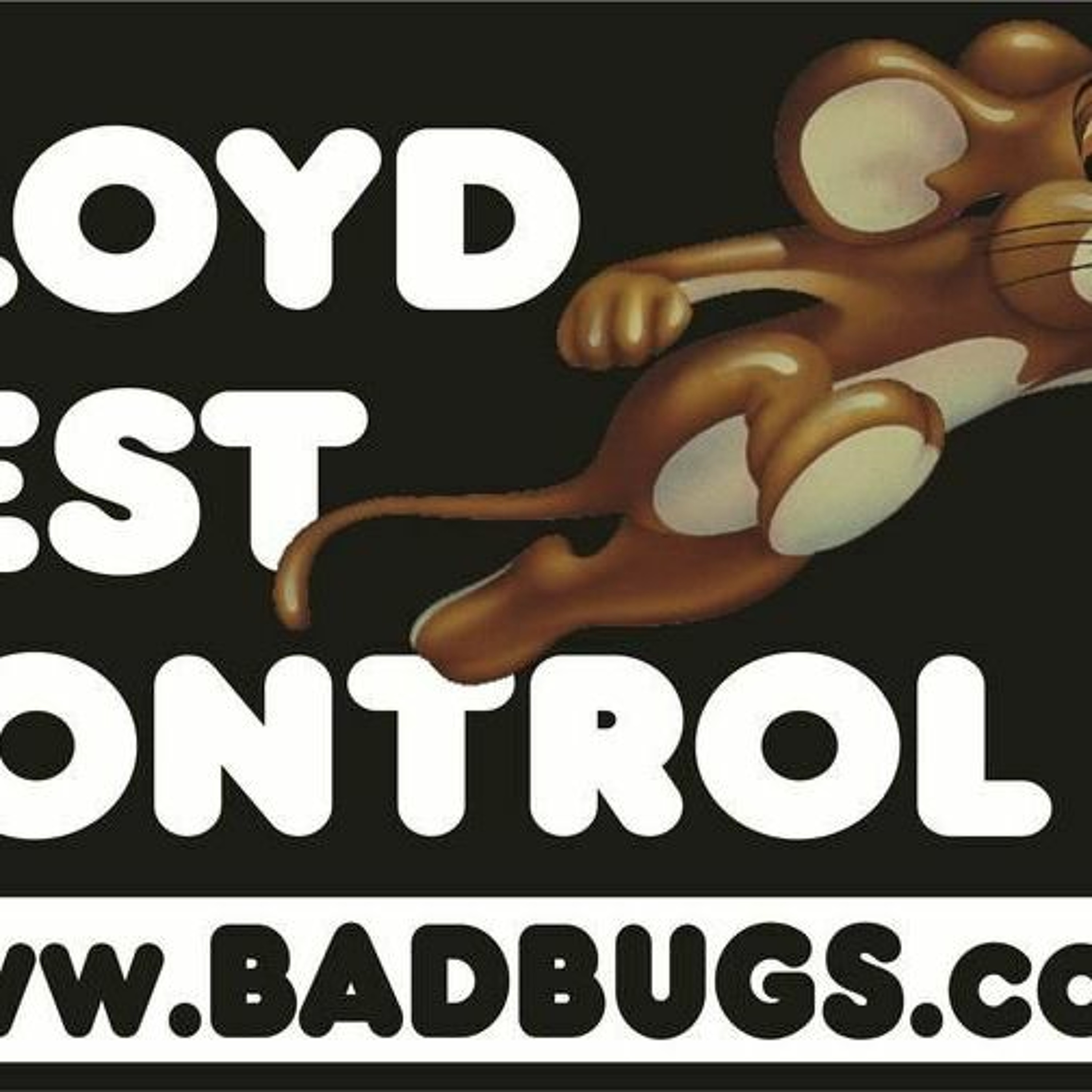 Lloyd Pest Control So Cal Artist of the Week 1 1 16 CREATIVE IMPULSE episode artwork