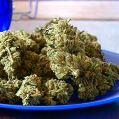 N.B.S. - All Falls Down (produced By Doc Ish)