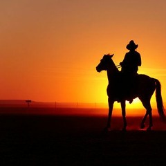 LoneRider