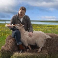 Allir Missa Sig (Steindi)