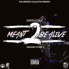 12. Vibes
