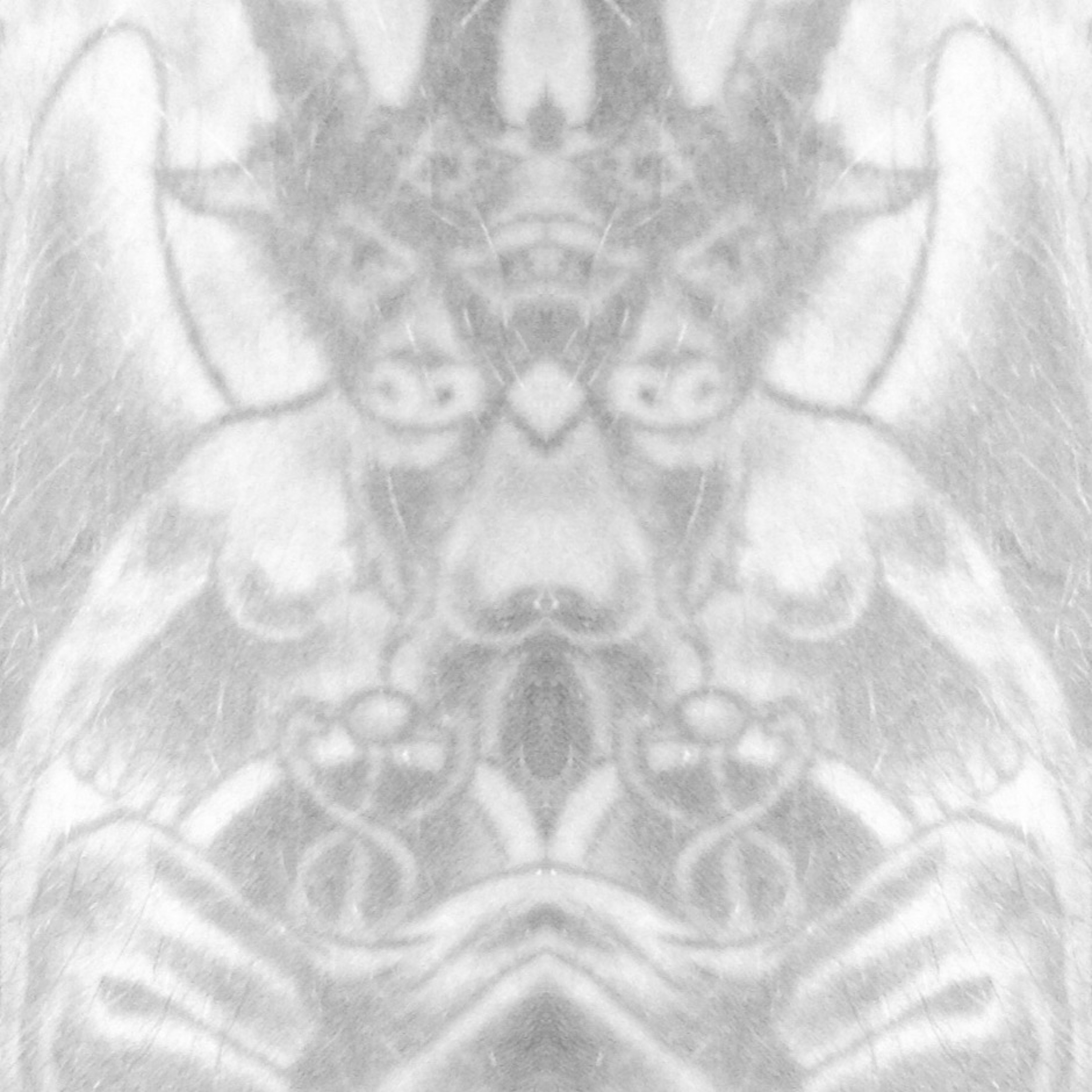 Live Rehearsal 1 Mic In The Room October 1999 By Of Fallen Crosses episode artwork