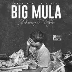 02 - Big Mula - Aint Trippin (Prod By 808 IKE)