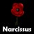 Artwork for Narcissus (Cannon Fodder Hill Theme)