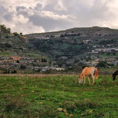 فوزي المزداوي - دنيا يا دنيا