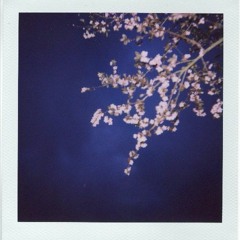 Ambient Study Session.