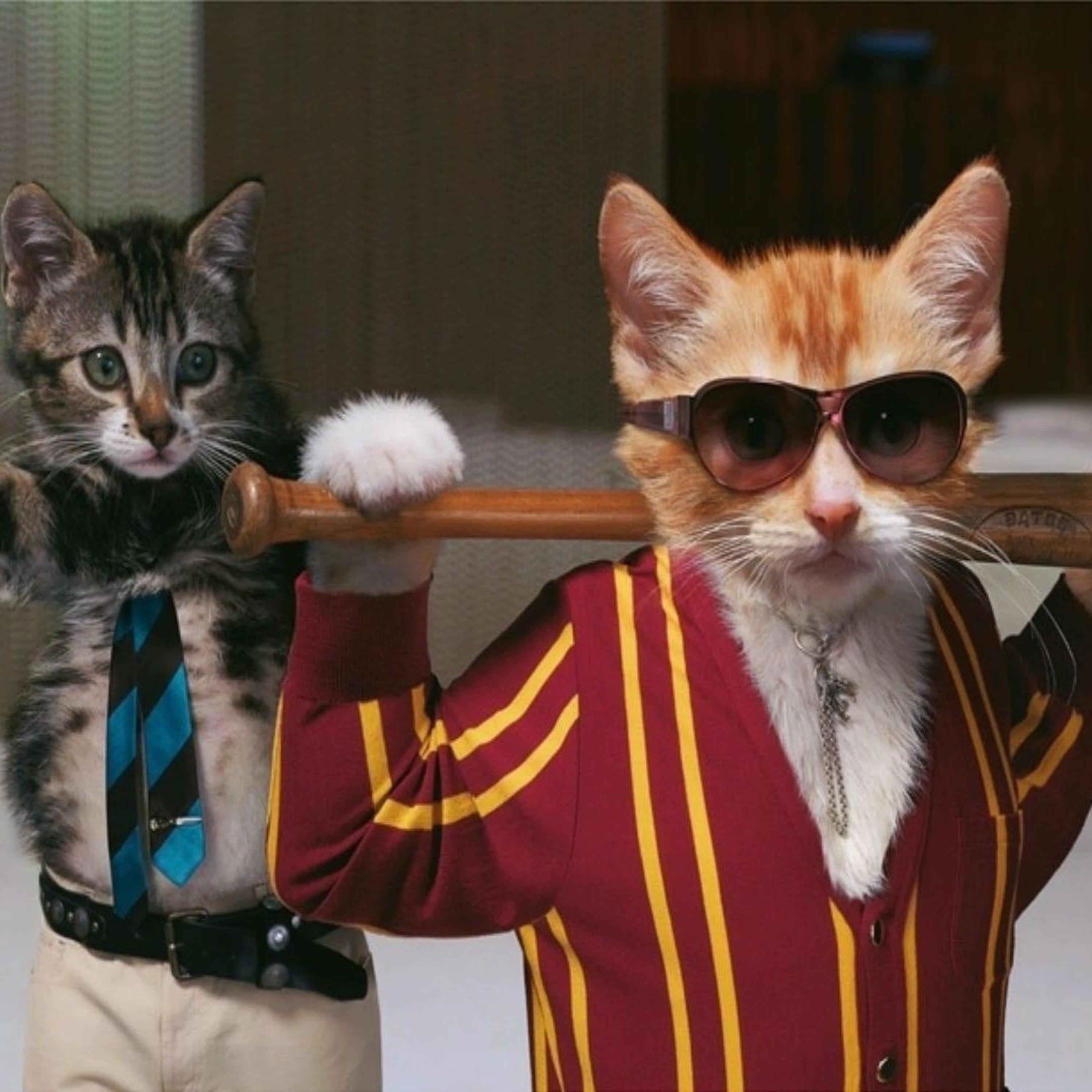 Custom Concern (Modest Mouse Cover) episode artwork