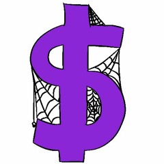 spider chip