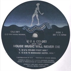 Glenn Underground & Cei - Bei - House Music Will Never Die