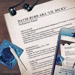 Lil Dicky - Work (Paid for That?) (Professional Rapper)
