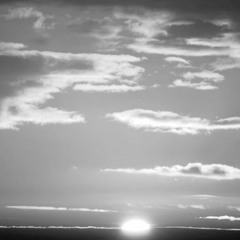 Cosmicbath - Flying creature (prod. Yuke Myras)