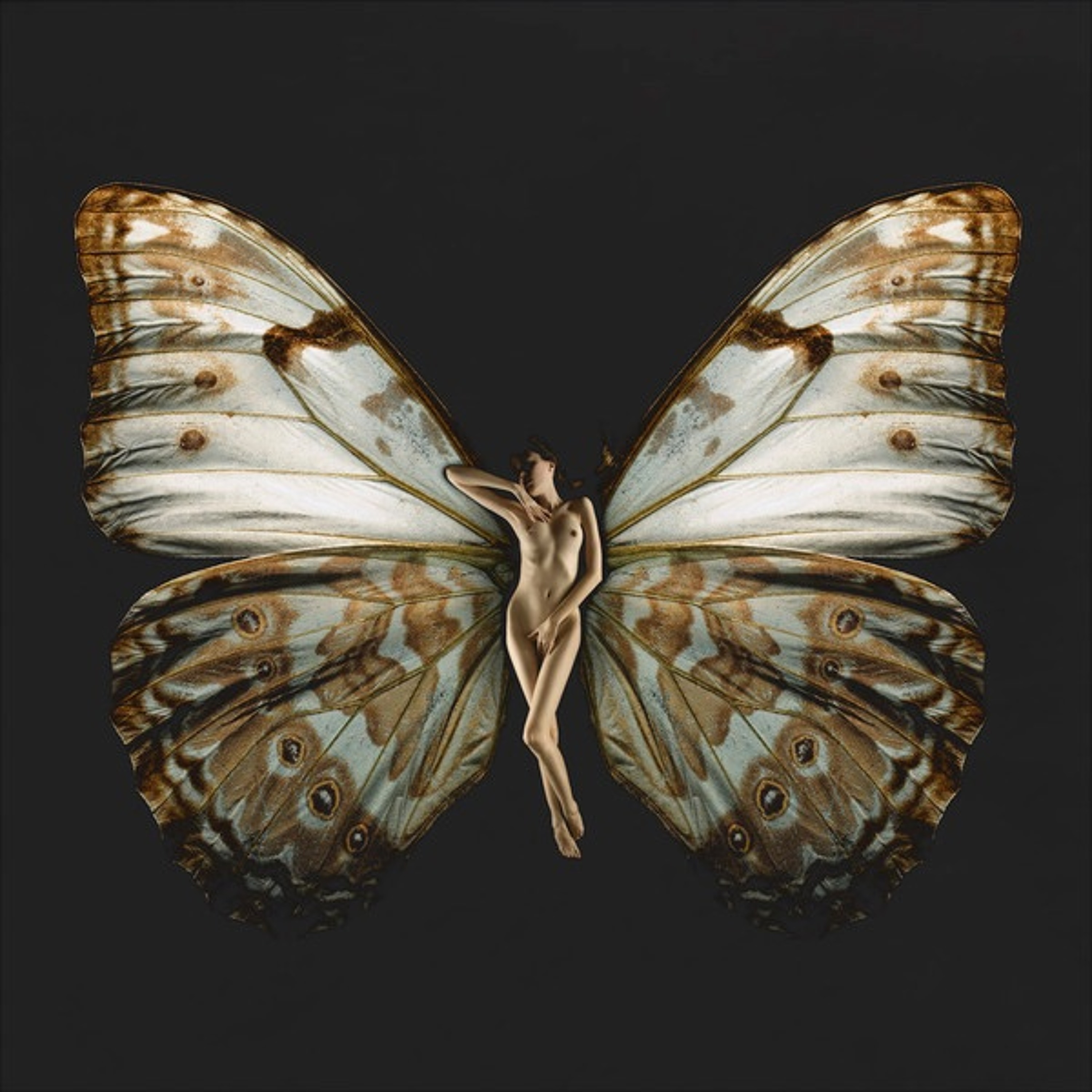 Verdant Recordings