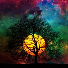 New year New problems