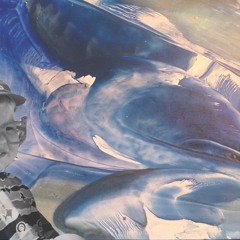 "Ryan Cloud - Nineteen Ninety One"