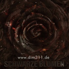 Dim - Schwarze Blumen (prod by Bud Bye)