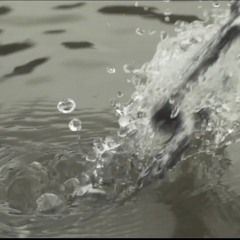 Without a trace - Song by Viktor Birgiss and Ólöf Katrín