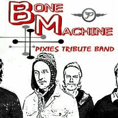 Dancing the Manta Ray