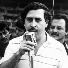 Zypha - Narcos