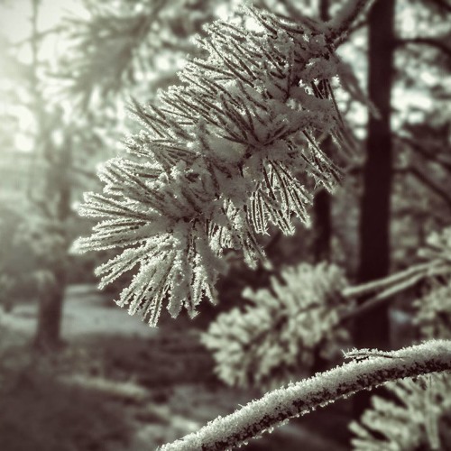 Maxon @ NYE Dinner for all - Club Charlotte