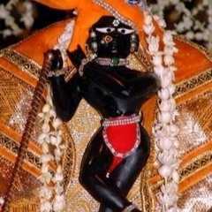 Evening Arati at Radha Raman temple , Vrindavana 05