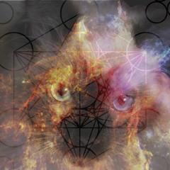 Cats In Space - <3 (Heart)