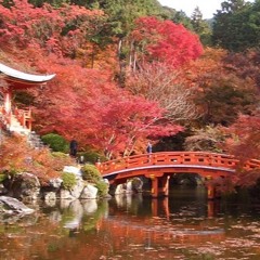 808 - Almibar(original Mix)