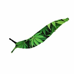 Guizmo - Flingue Dessus ($lugga remix)