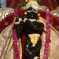 Evening Arati at Radha Raman temple , Vrindavana 06