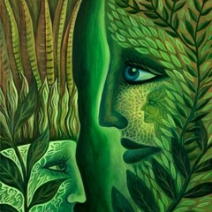 Medicine Heart Songs