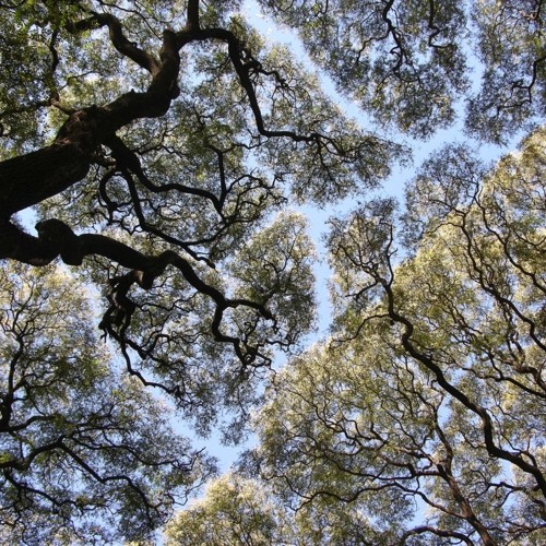 Keep The Car Running (Arcade Fire)