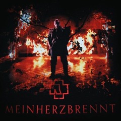 Rammstein - Mein Herz Brennt(Instrumental Cover)