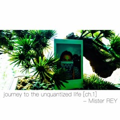 journey to the unquantized life [ch1]