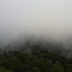 Herança