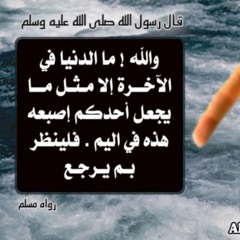 " اعْلَمُوا أَنَّمَا الْحَيَاةُ الدُّنْيَا لَعِبٌ وَلَهْوٌ " بصوت  طفل جميل ...