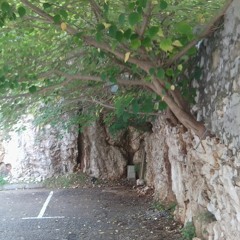 iLLFish mitBeat von NicoB. - Geduld