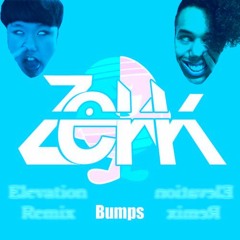 Zekk - Bumps (Elevation Remix)