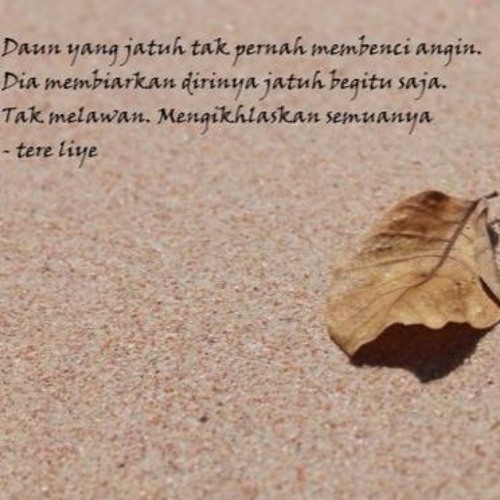 Tere Liye Sepotong Hati Yang Baru Guru Galeri Tere Liye Sepotong Hati Yang Baru Guru Galeri