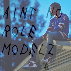 Aint No Role Modelz